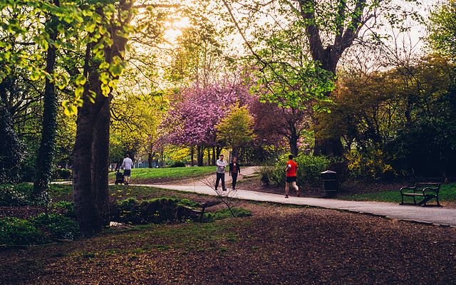 People walking in a parkDescription automatically generated with medium confidence