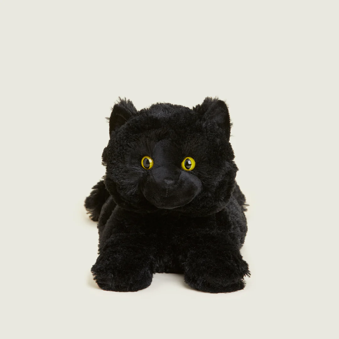 A stuffed animal of a black catDescription automatically generated