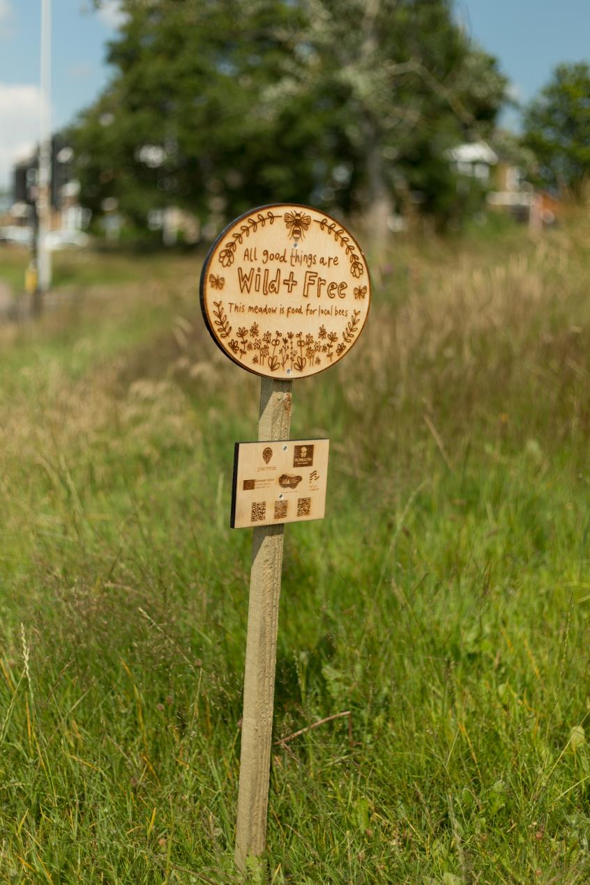 Wildflower meadow sign designed by Genevieve Stewart Image Credit_Ray Goodwin