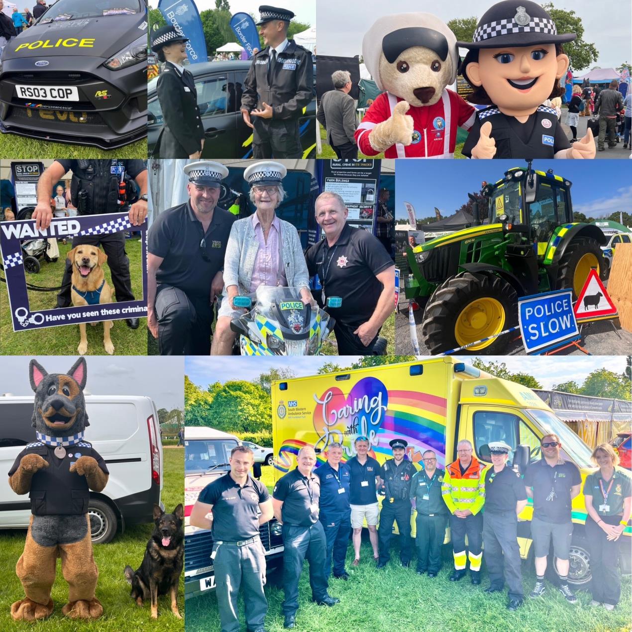 County Show collage 