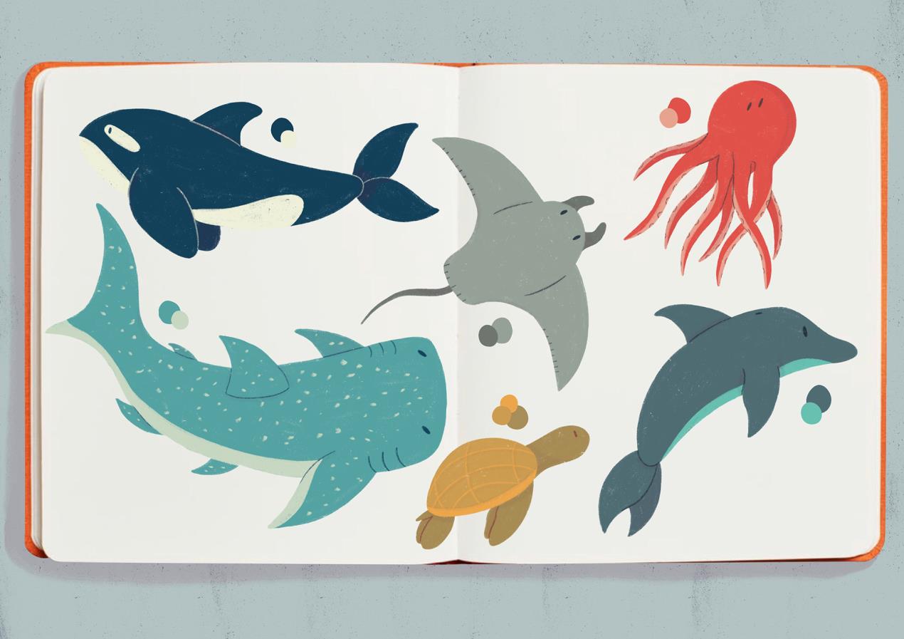 KaspaCrediton-MarineLife