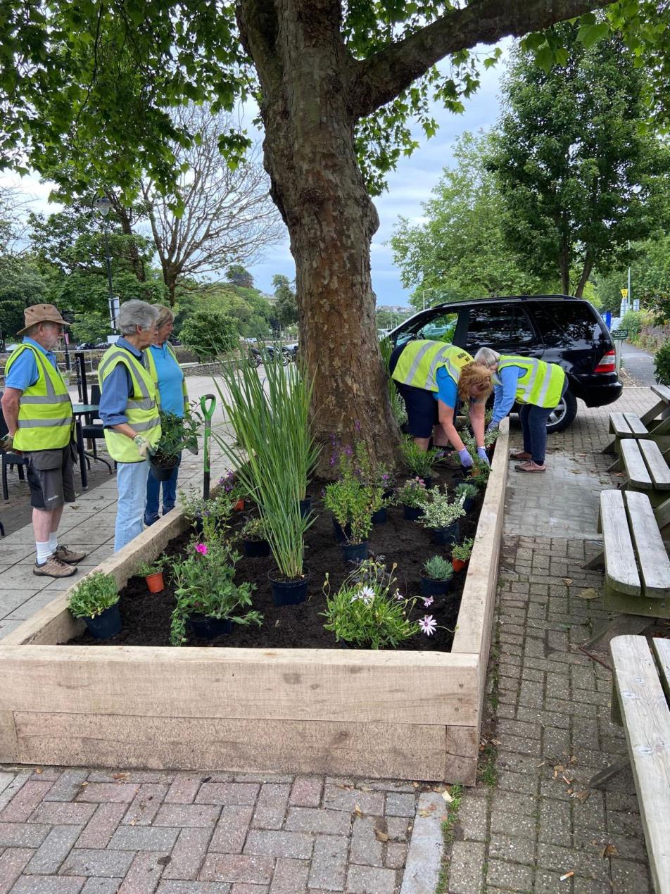 Kingsbridge in Bloom 3 (courtesy of Gill Matthews)
