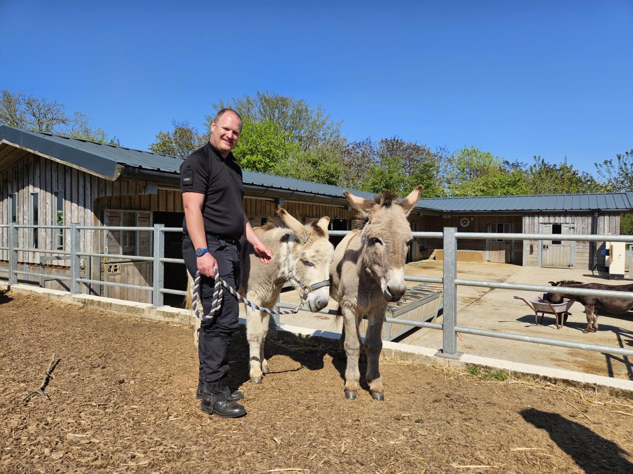 Lee Skinner and donkeys