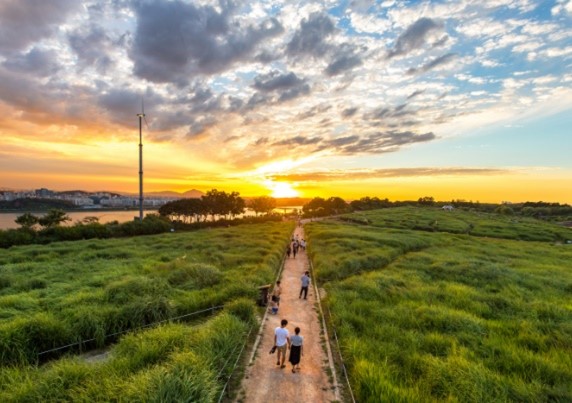 A group of people walking on a path with a green field and a sunsetAI-generated content may be incorrect.