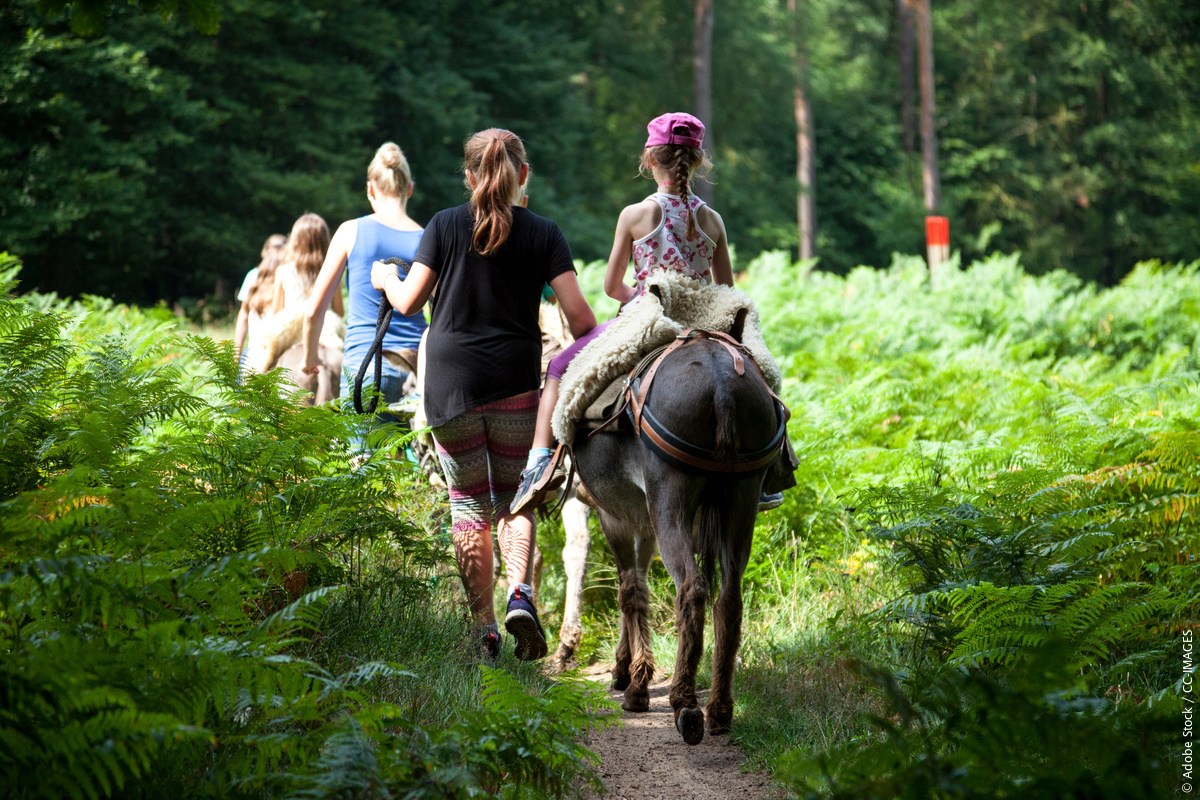 Deutschland_Eselwanderung_mit_Kindern_im_Wald