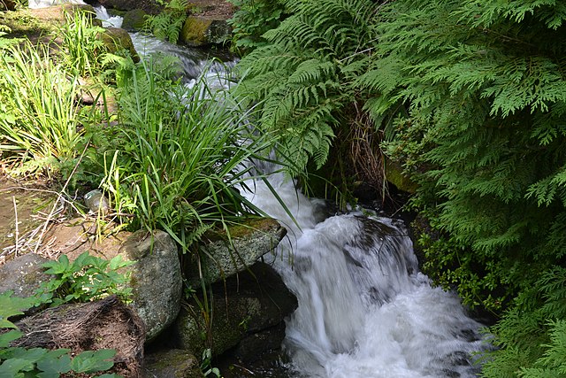 A small waterfall in a forestDescription automatically generated with low confidence
