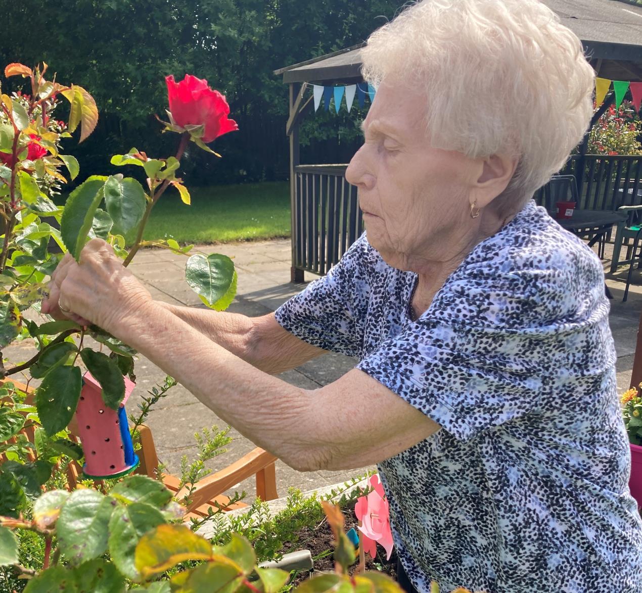 Yvonee tying bird boxes on plants