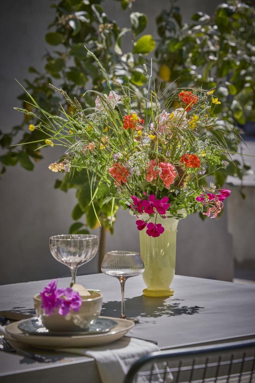 2026_Geraniums_2000_Urban_Life_Rural_Style_04