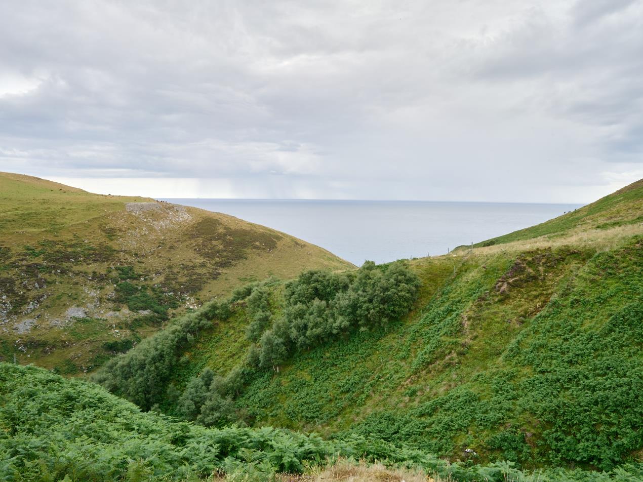 Cairne View - Gabriel Van Ingen