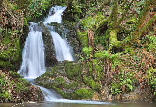 A waterfall in a forestDescription automatically generated