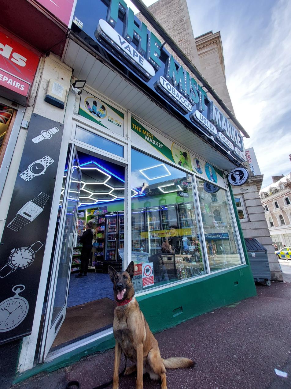 Dog outside Mist Market