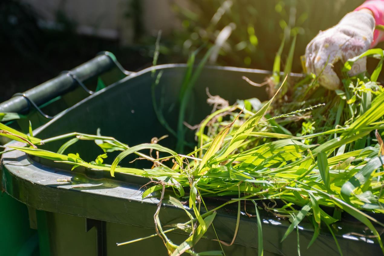 Garden waste - Stock (2) Garden waste - Stock (2)