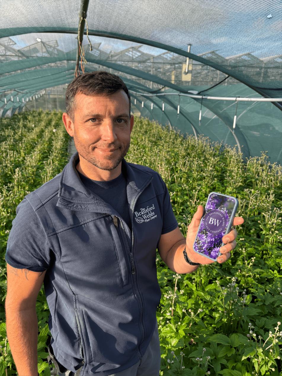 Nursery Manager at The Bransford Webbs Plant Company, Martin Matthews