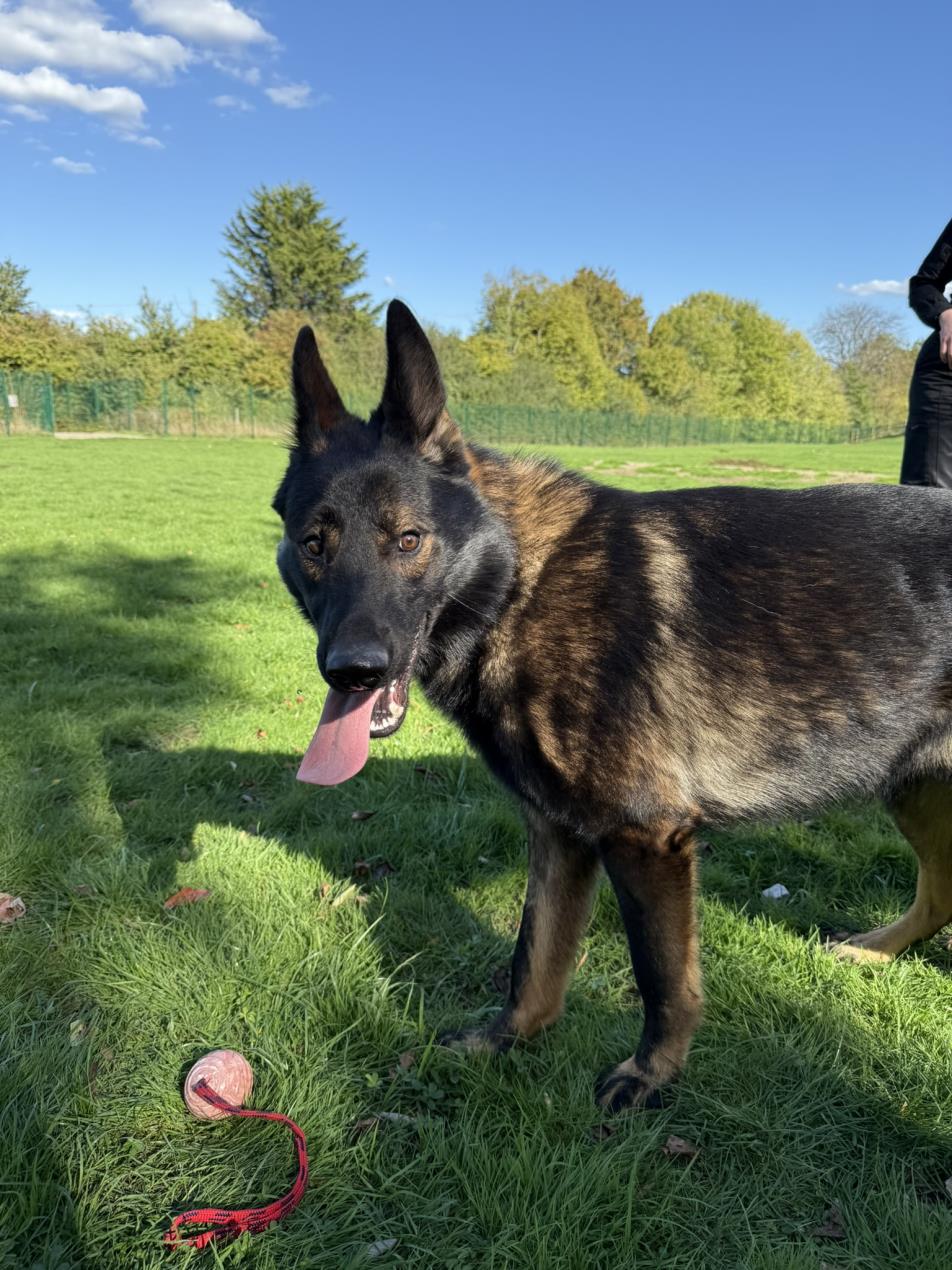 PD Loki in 2025
