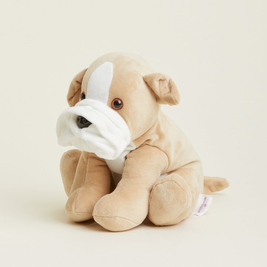 A stuffed animal with a maskAI-generated content may be incorrect.