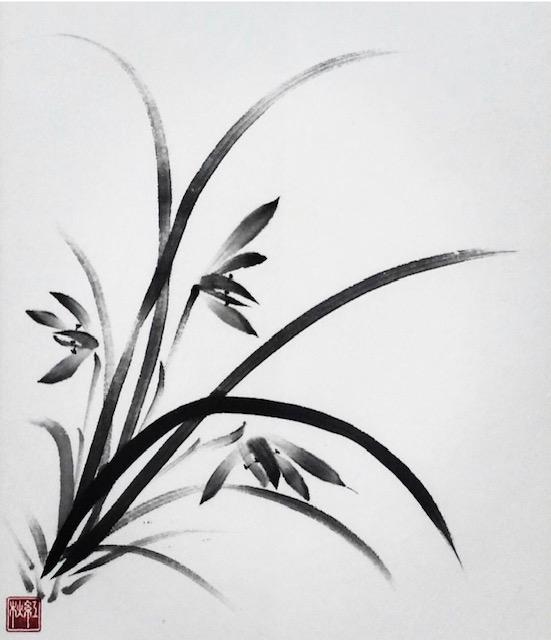 image_Orchid_PRonly_600x