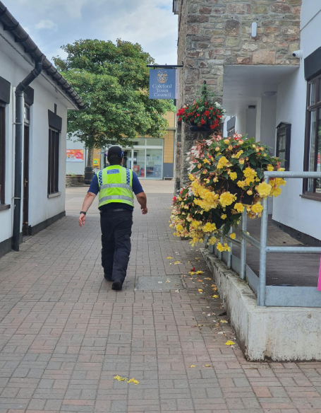 Patrol in the Forest of Dean