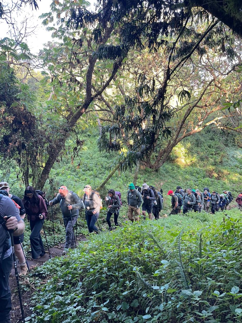 Day 1 - the long trek