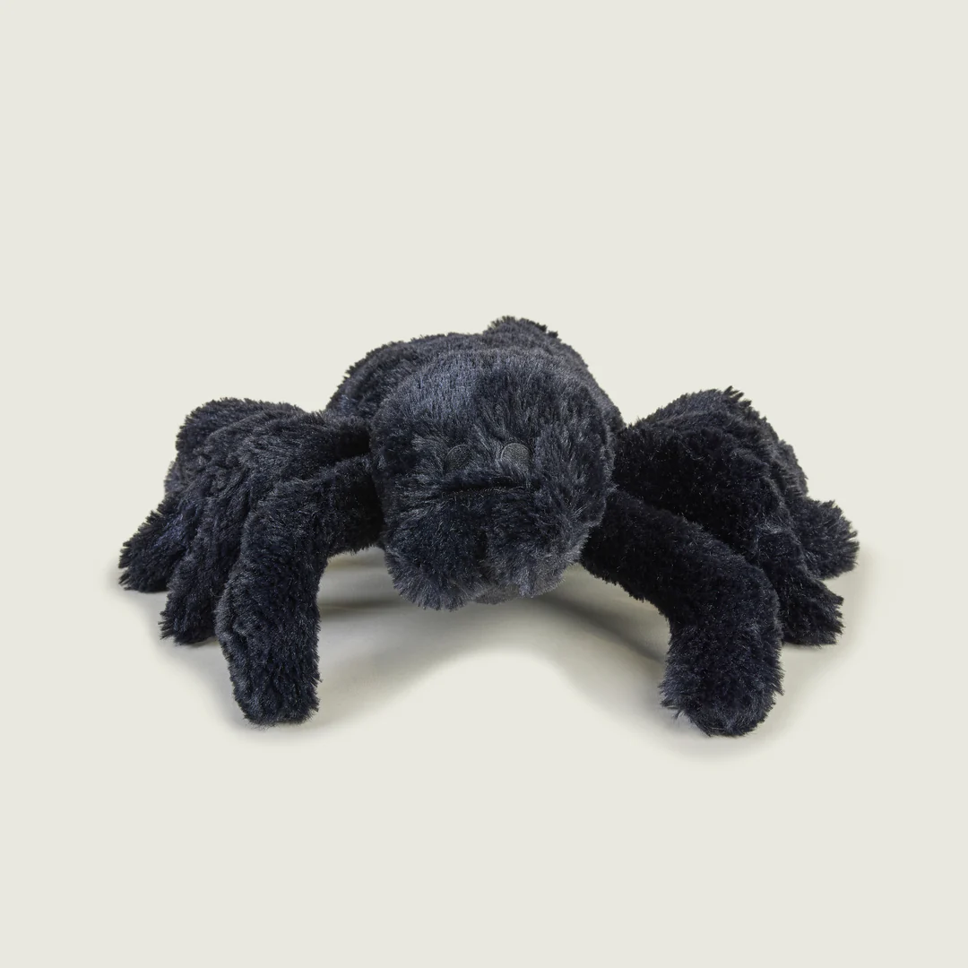 A black stuffed animal spiderDescription automatically generated