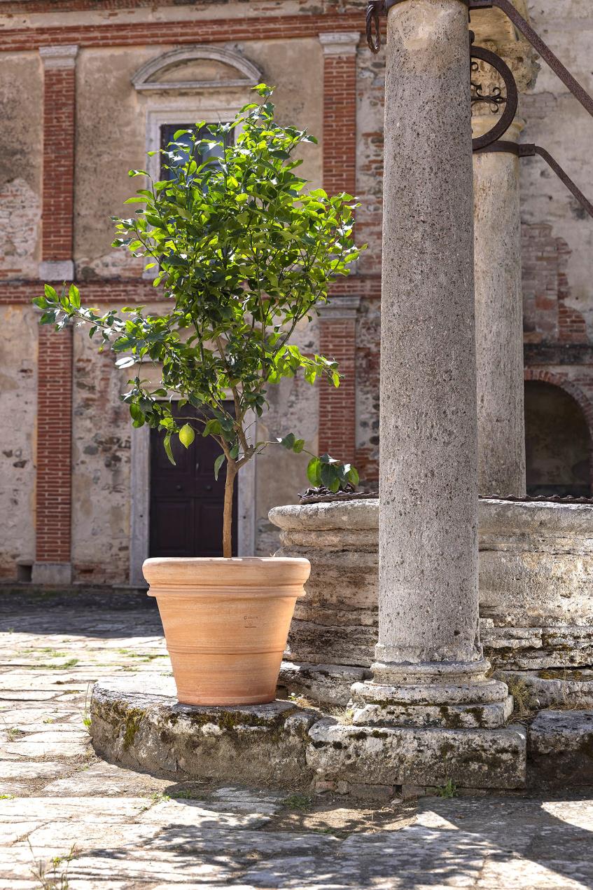 Siena Rim Pot - 88025