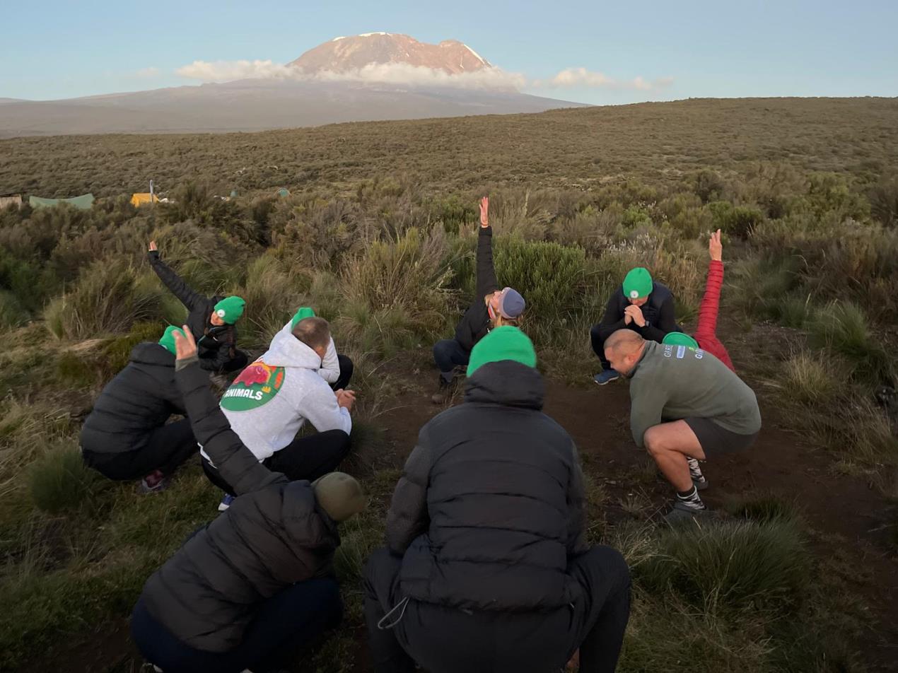 Day 2 - even more kili yoga