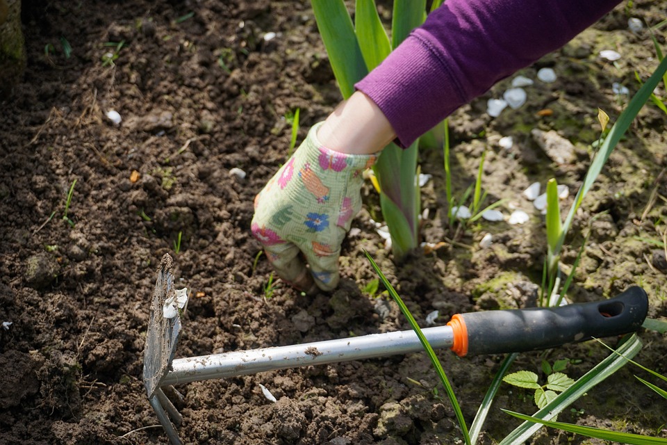 Free Work In The Garden Garden photo and picture