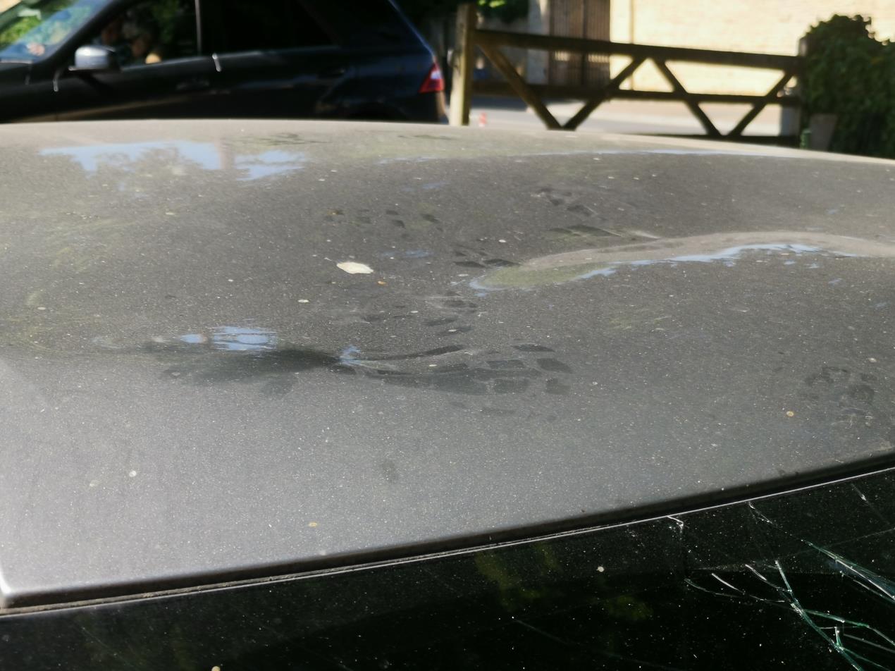 Damaged roof