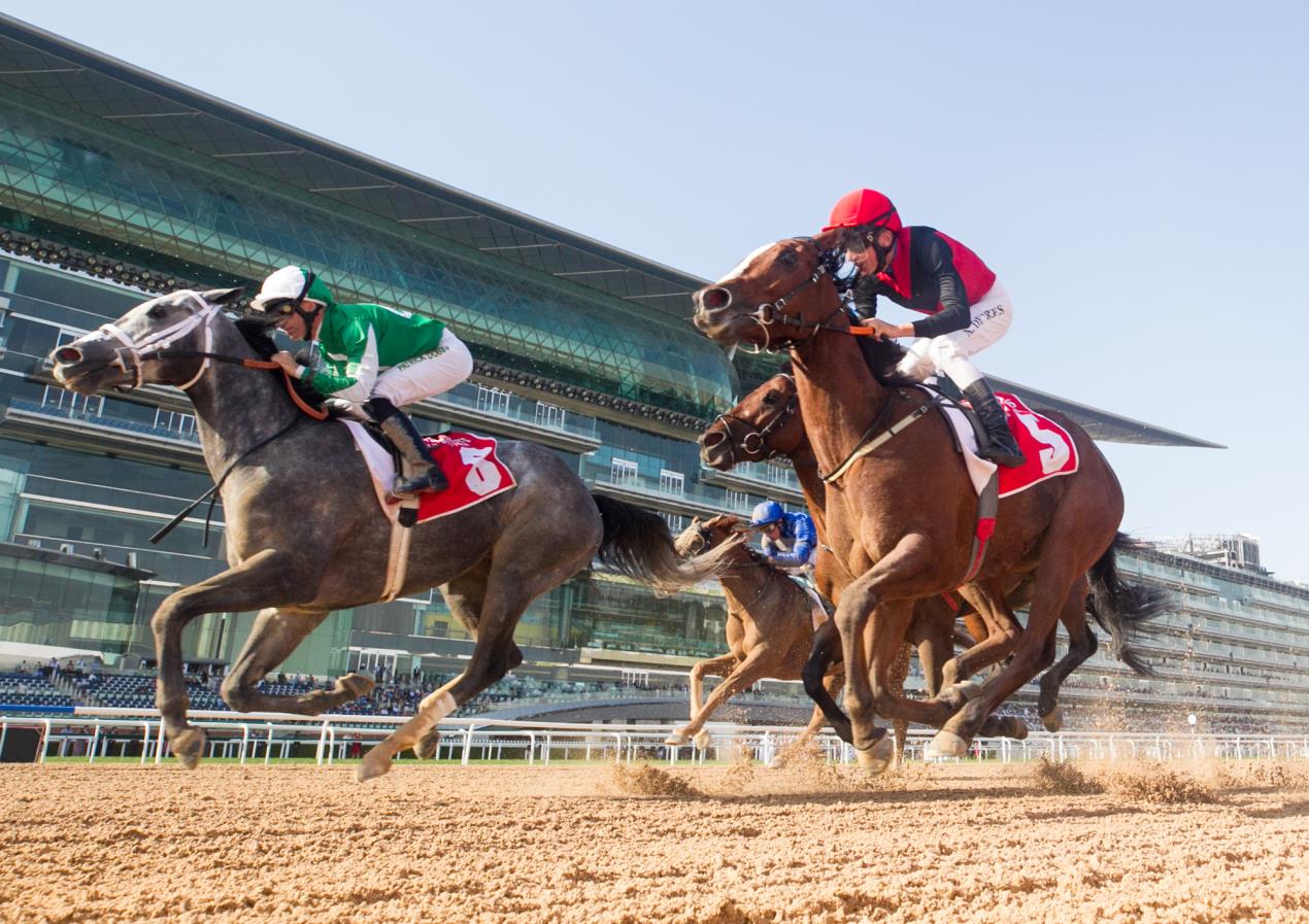 The Meydan Hotel - Racing