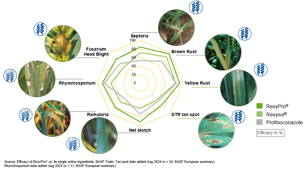 A diagram of a plantDescription automatically generated