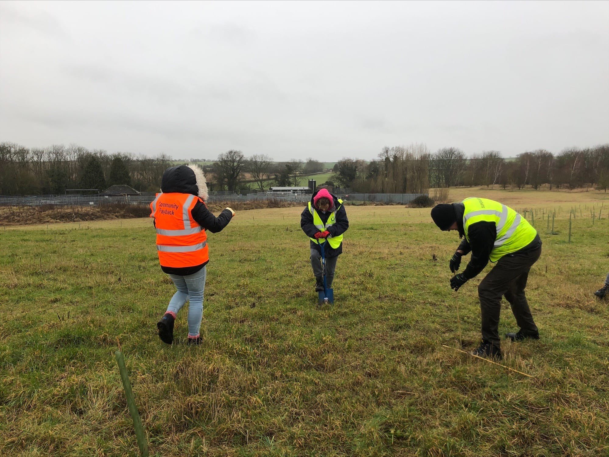 A group of people on community payback planting trees 