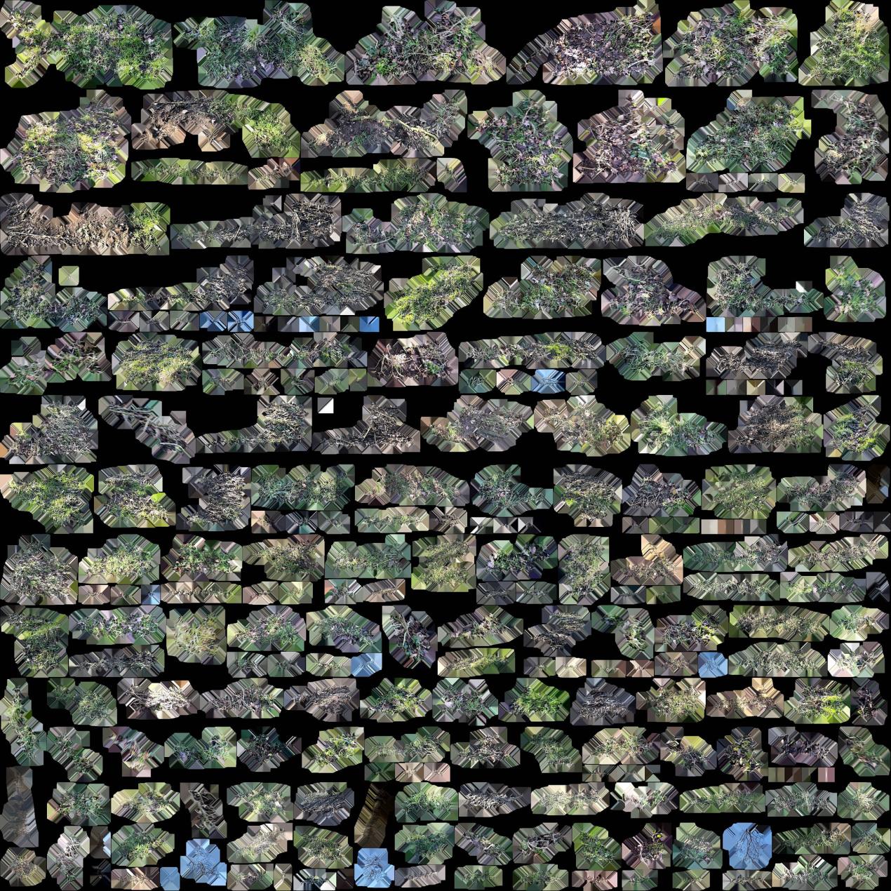 Copy of Deconstructed Landscape 01