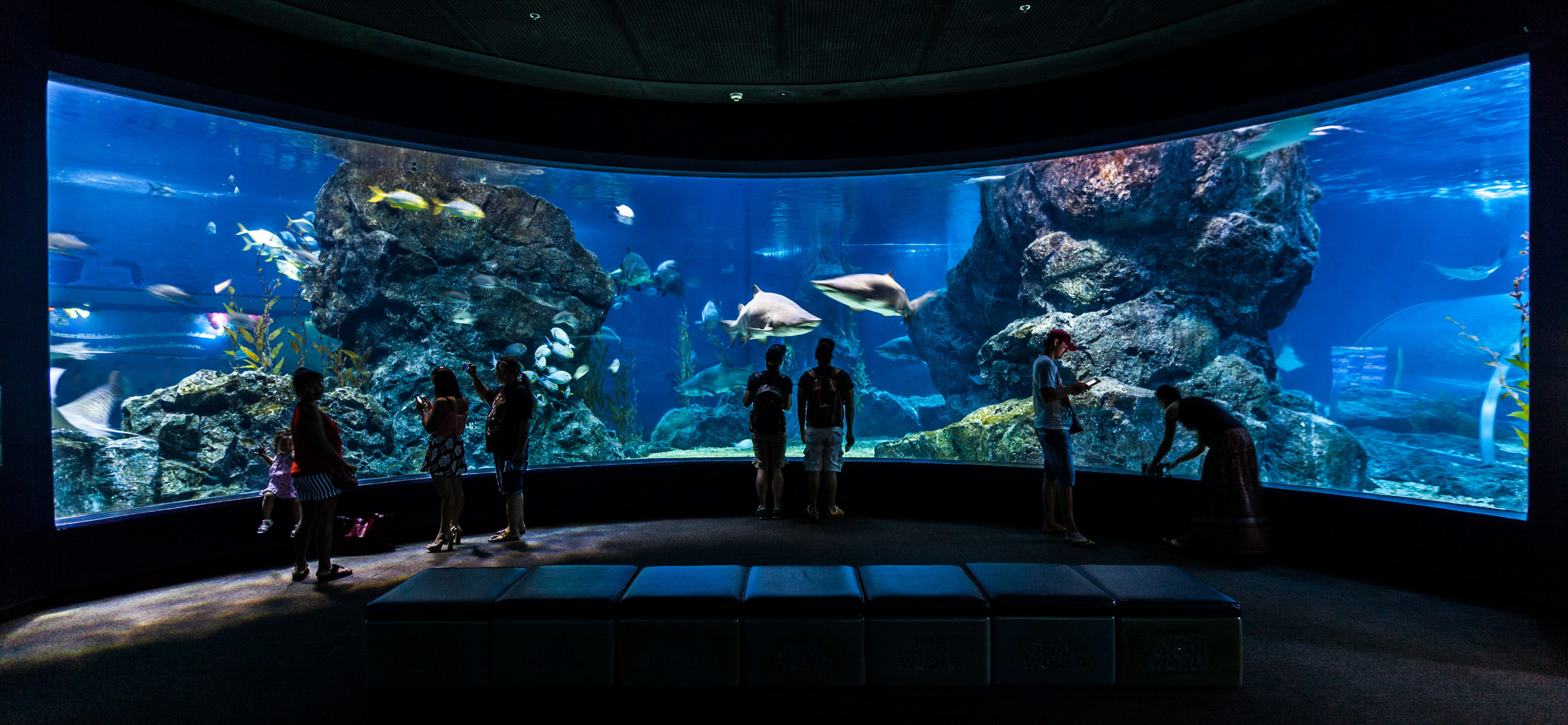 People standing in front of a large aquariumDescription automatically generated with low confidence