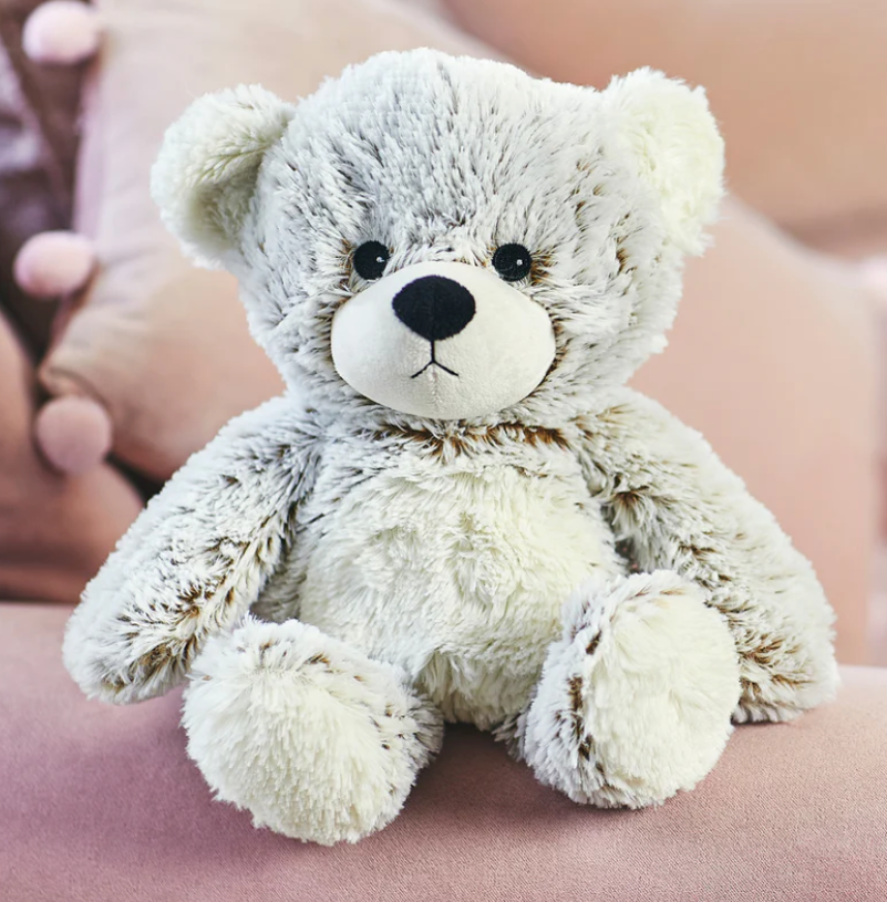 A stuffed teddy bear on a couchDescription automatically generated