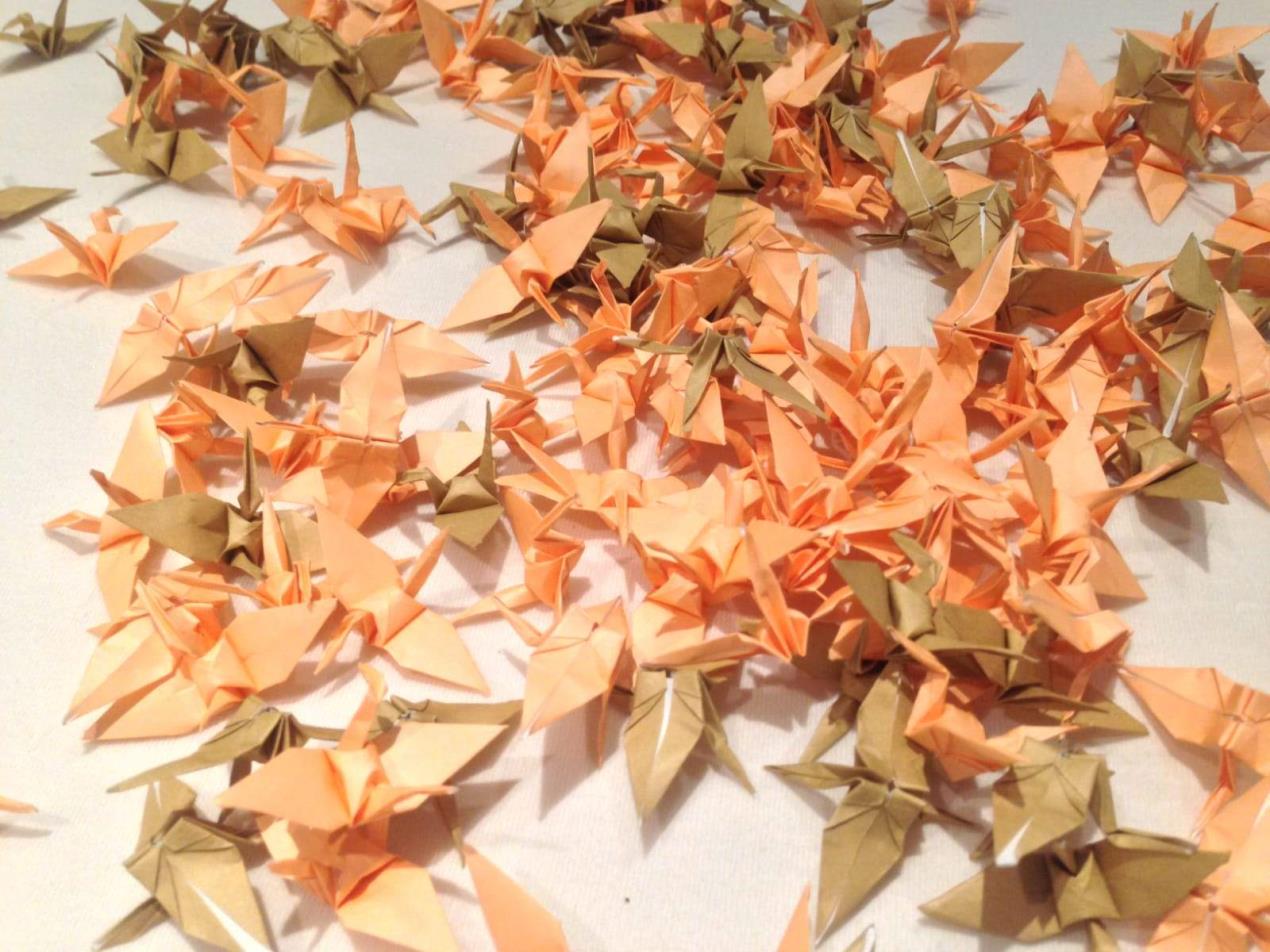 IMG-20200817-WA0041_2048x2048