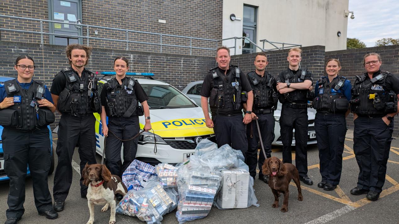 Torquay team with dogs