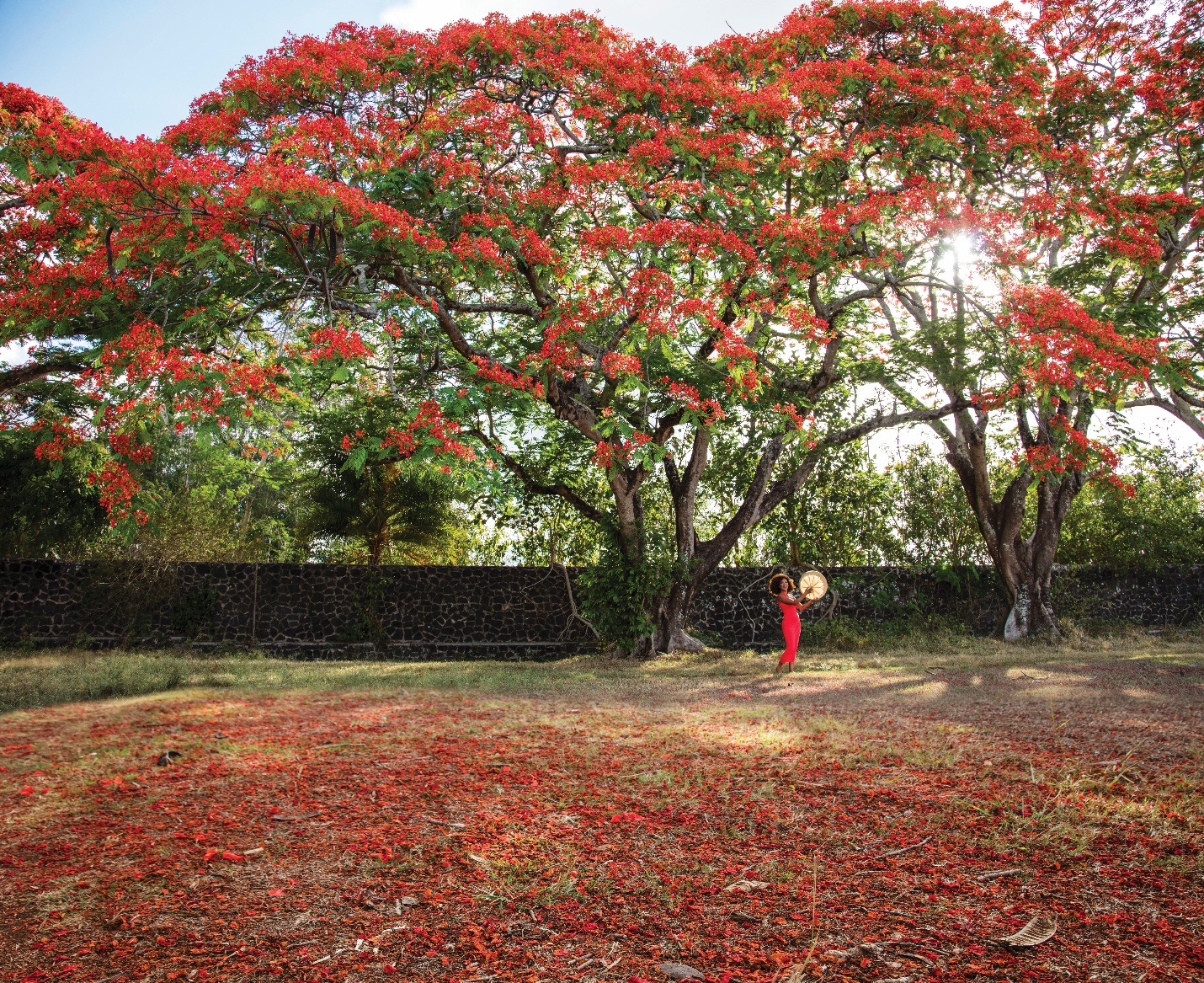 A person holding a basket with red flowers on itDescription automatically generated