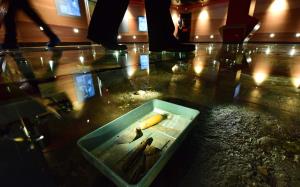 Discover Coppergate glass floor