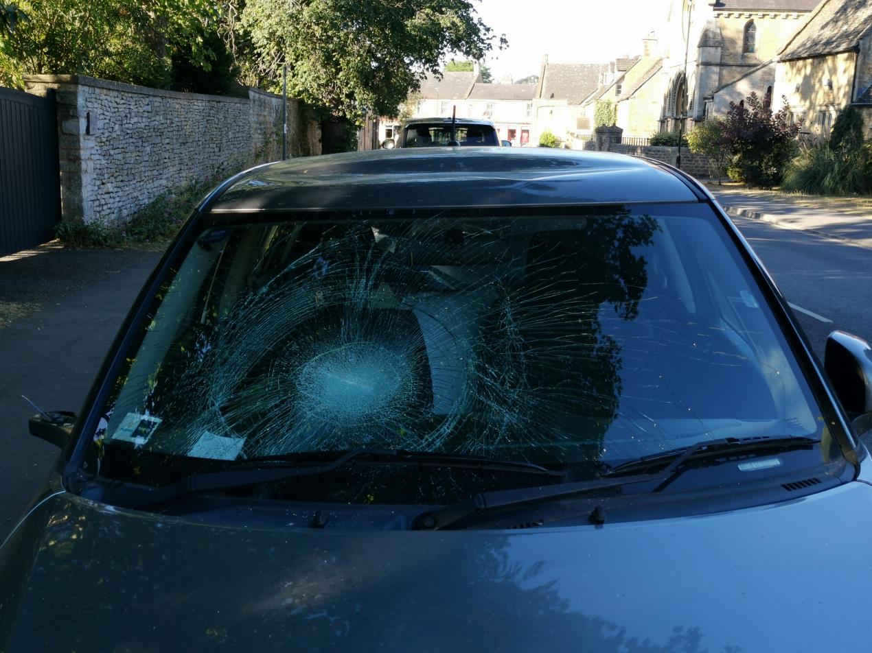 Damaged bonnet